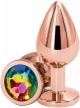Butt Plug - Rear Assets Rose Gold Small w/ Rainbow