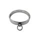 Stainless Steel Slave Collar