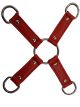 Four Strap D Ring Tether Red