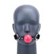 Ball Gag with Pink Ball
