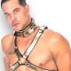 Metallic Leather Wide Strap D Ring Collar Padded & Leather Lined 