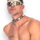 Metallic Leather Slim Collar with Large Spikes Padded & Leather Lined 
