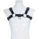 Male Upper Body Bull Dog  Harness 