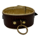  Wing Collar in Brown Croc with Gold Lining S/M
