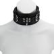 65mm Collar with 3X D-Ring Padded & Black Leather Lined 