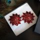 Pasties - Starburst in Red/Red