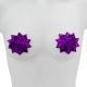 Pasties - Starburst in Purple