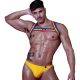 Rainbow Chest Harness-Multi Coloured