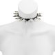 Choker - Slim Mirror With Large Dog Spikes