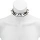 Choker - Mirror With Dog Spike