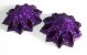 Starburst Pasties   Purple & Black